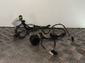 Other wiring loom