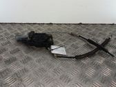 Motor del regulador de la ventanilla de la puerta delantera