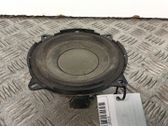 Panel speaker