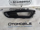 Front fog light trim/grill