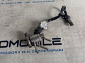 AdBlue injector