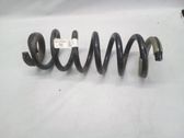 Front coil spring