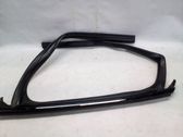 Rear door glass trim molding