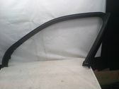 Other front door trim element