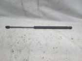 Front bonnet/hood damper/strut