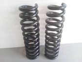 Front coil spring