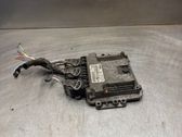 Calculateur moteur ECU