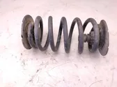 Rear coil spring