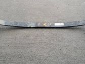 Front leaf spring
