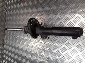 Front shock absorber/damper