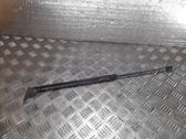 Tailgate/trunk strut/damper