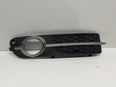 Front fog light trim/grill