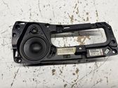 Panel speaker
