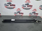 Tailgate/trunk strut/damper