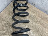Rear coil spring