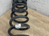 Rear coil spring