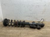 Rear shock absorber/damper
