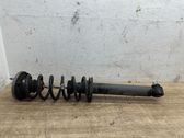 Rear shock absorber with coil spring