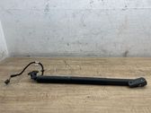 Tailgate/trunk strut/damper