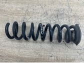 Rear coil spring