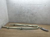 Roof airbag