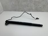 Tailgate/trunk strut/damper
