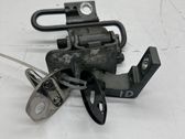 Front door hinge set
