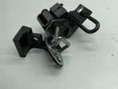 Rear door hinge set