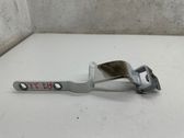 Tailgate/trunk/boot hinge