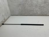 Front bonnet/hood damper/strut