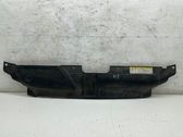 Engine bonnet/hood lock trim molding