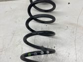 Rear coil spring
