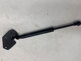 Tailgate/trunk strut/damper
