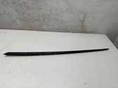 Moldura del parabrisas