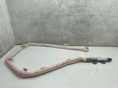 Airbag de toit