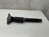 Rear shock absorber/damper