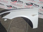 Fender
