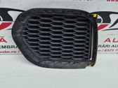 Moldura/rejilla de la luz antiniebla delantera