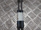 Tailgate/trunk strut/damper
