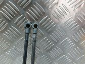 Tailgate/trunk strut/damper