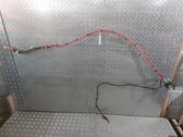 Faisceau de câblage pour moteur