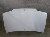 Engine bonnet/hood