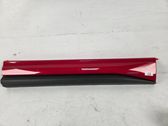 Front door trim (molding)