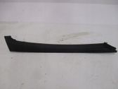 (B) Pillar trim (exterior)