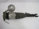 Front shock absorber/damper