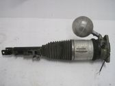 Front shock absorber/damper