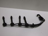 Ignition plug leads