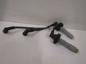 Ignition plug leads