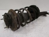 Front shock absorber with coil spring