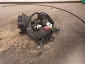 Other wiring loom